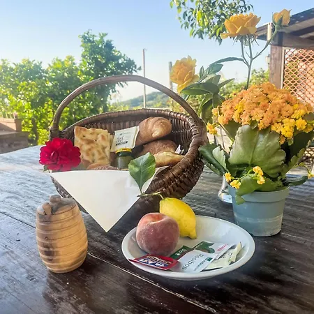 Hébergement de vacances San Giuseppe - Vlo210 By Interhome *